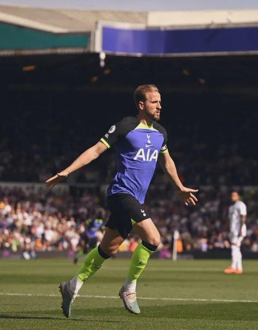 全能型侧翼 全能型侧翼