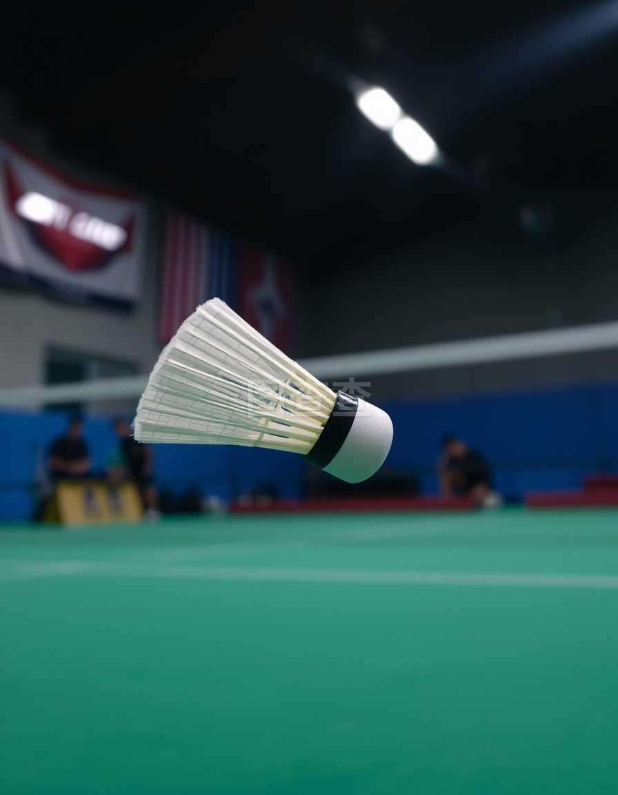 这些活动不 这些活动不